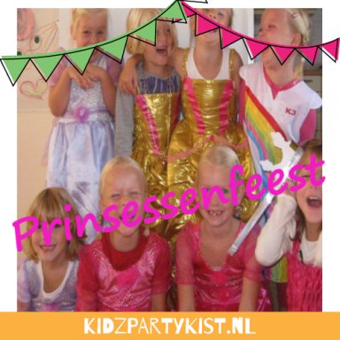 Prinsessenfeest thuis vieren