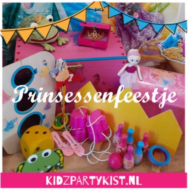 Themakist Prinsessen Kinderfeestje thuis vieren