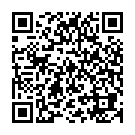 qrcode-lilo-en-stitch-bingo-vlaggenlijn