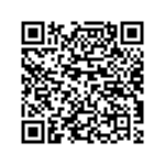qr-code-glitter-en-glamour-cluedo-feestje-jw