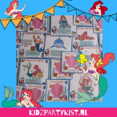 Zeemeermin Kinderfeestje Speurtocht en Spelletjes